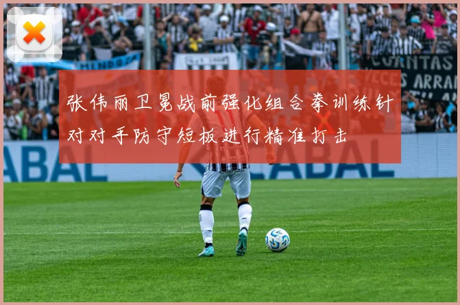 张伟丽卫冕战前强化组合拳训练针对对手防守短板进行精准打击